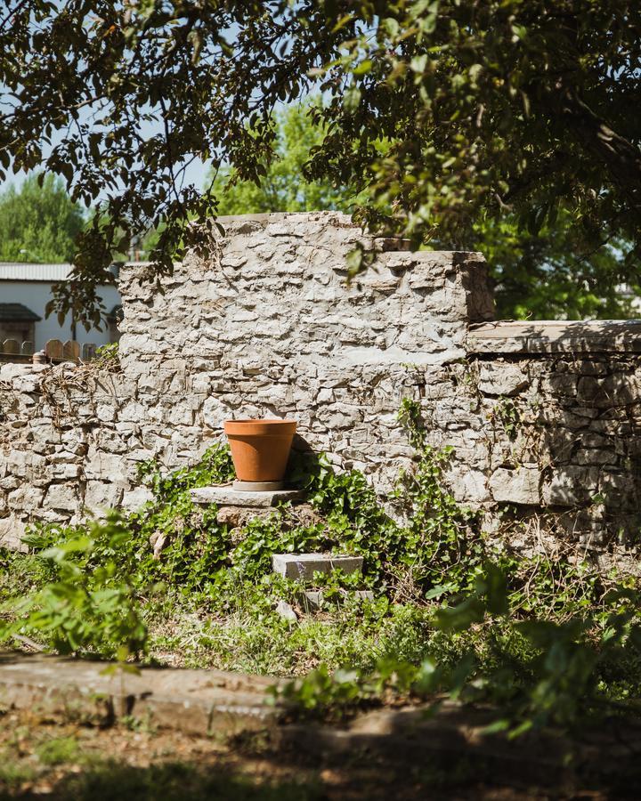 לינה וארוחת בוקר ספרינגפילד The Mansion At Elfindale מראה חיצוני תמונה